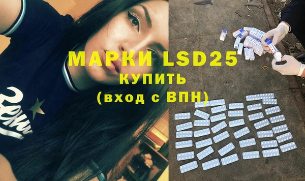 шишки Новодвинск