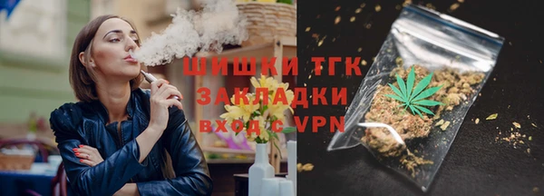 шишки Новодвинск