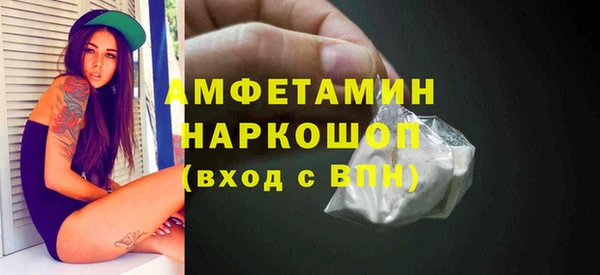 шишки Новодвинск