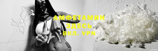 шишки Новодвинск