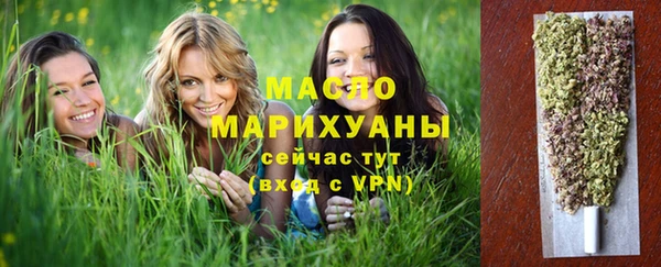 шишки Новодвинск