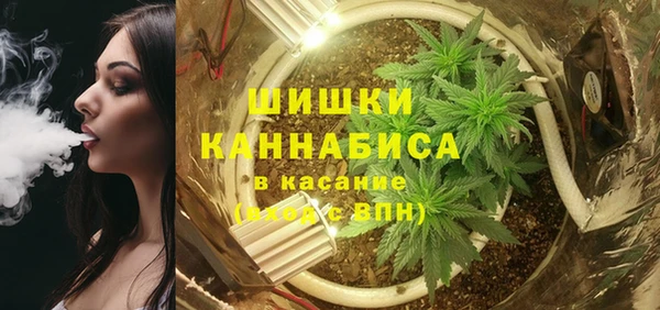 шишки Новодвинск