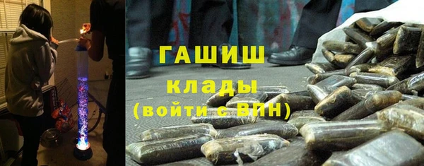 шишки Новодвинск