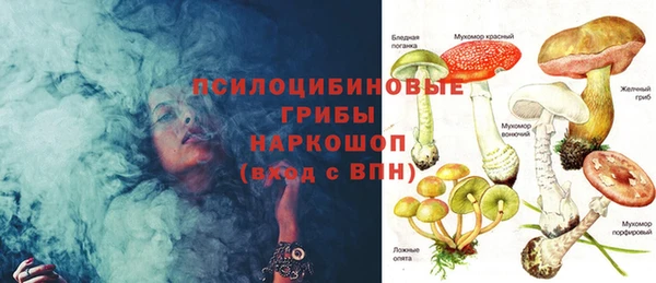 шишки Новодвинск