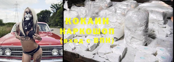 шишки Новодвинск