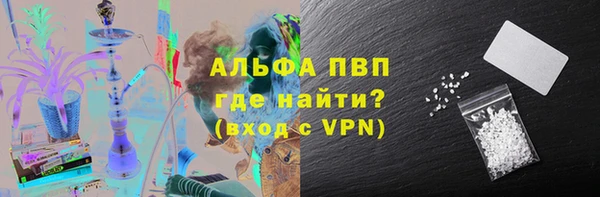 шишки Новодвинск