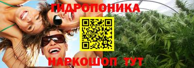 прущие крисы Абакан
