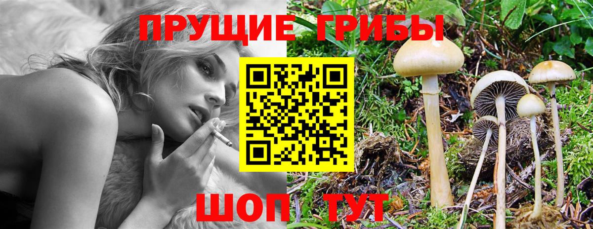 где продают наркотики  Псилоцибиновые грибы Psilocybine cubensis  Галлюциногенные грибы мухоморы  Вход с VPN  Анапа 