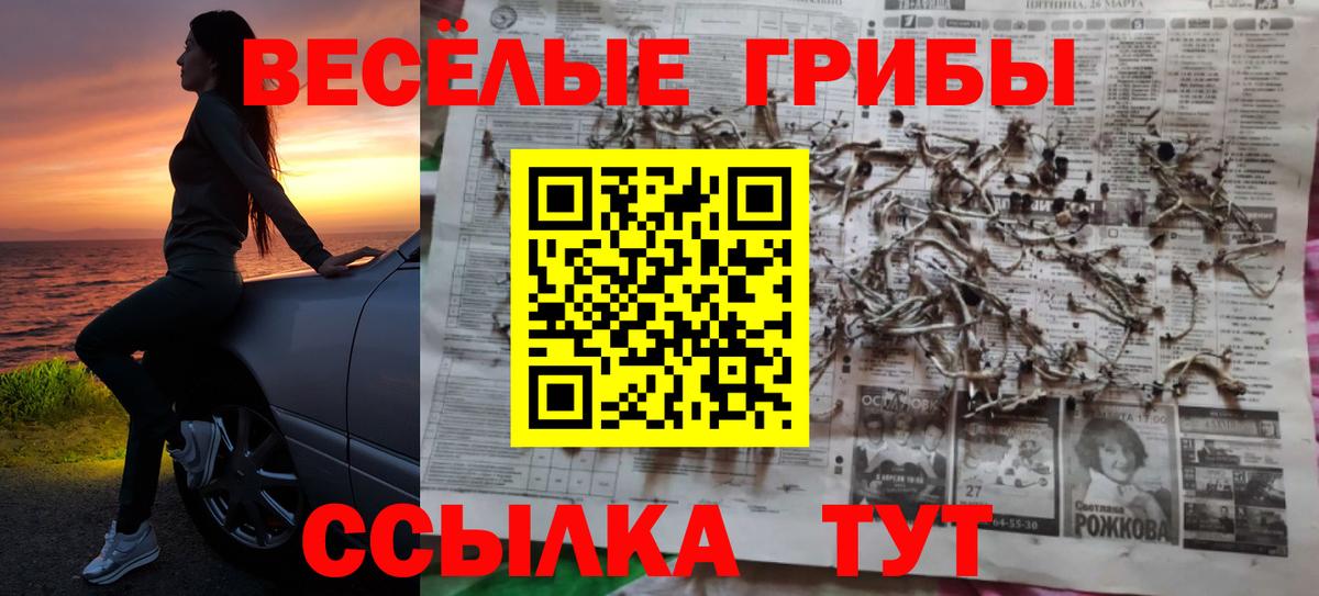 Галлюциногенные грибы Psilocybine cubensis Анапа